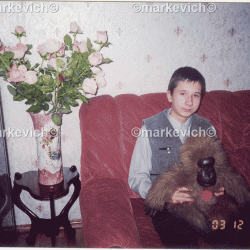 Новый Год - с игрушкой